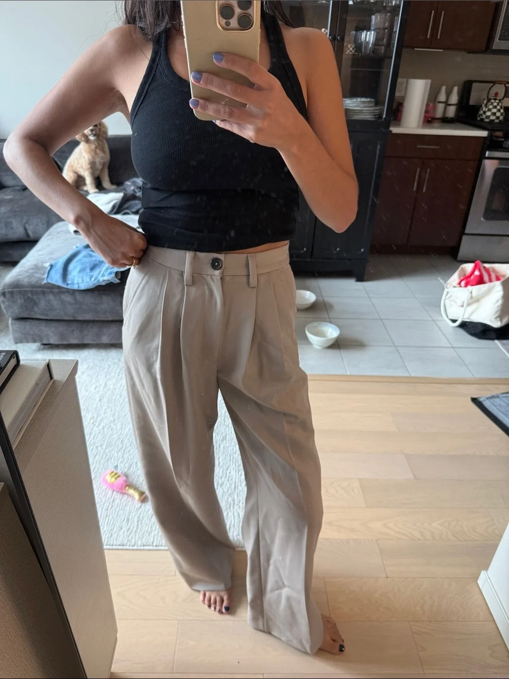 Anine Bing Cream & Green Wide-Leg High-Waist Trousers